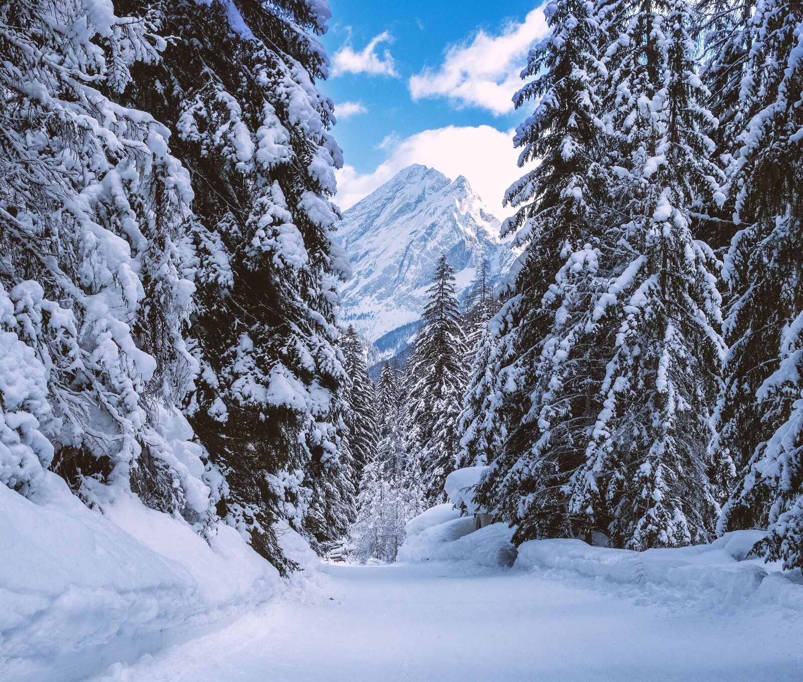 Taxi transfer Innsbruck Airport do Campitello di Fassa