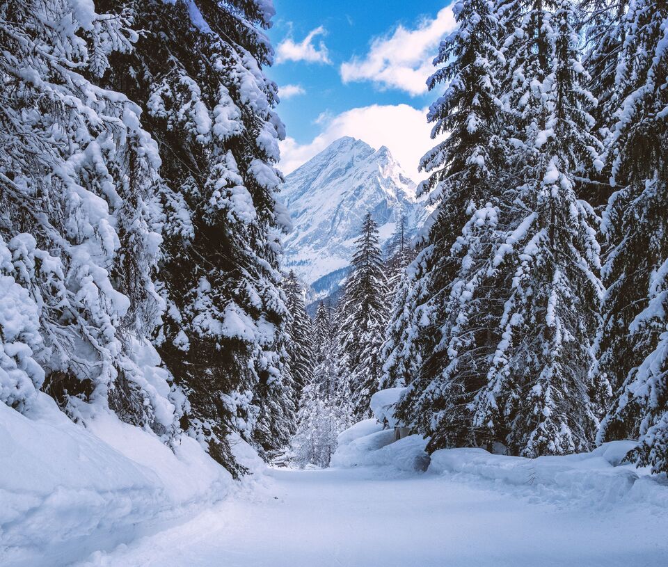 Taxi transfer Innsbruck Airport to Campitello di Fassa